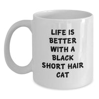 Load image into Gallery viewer, Funny Black Short Hair Cat Gifts from Friends for Birthday - White Coffee Mug - Main