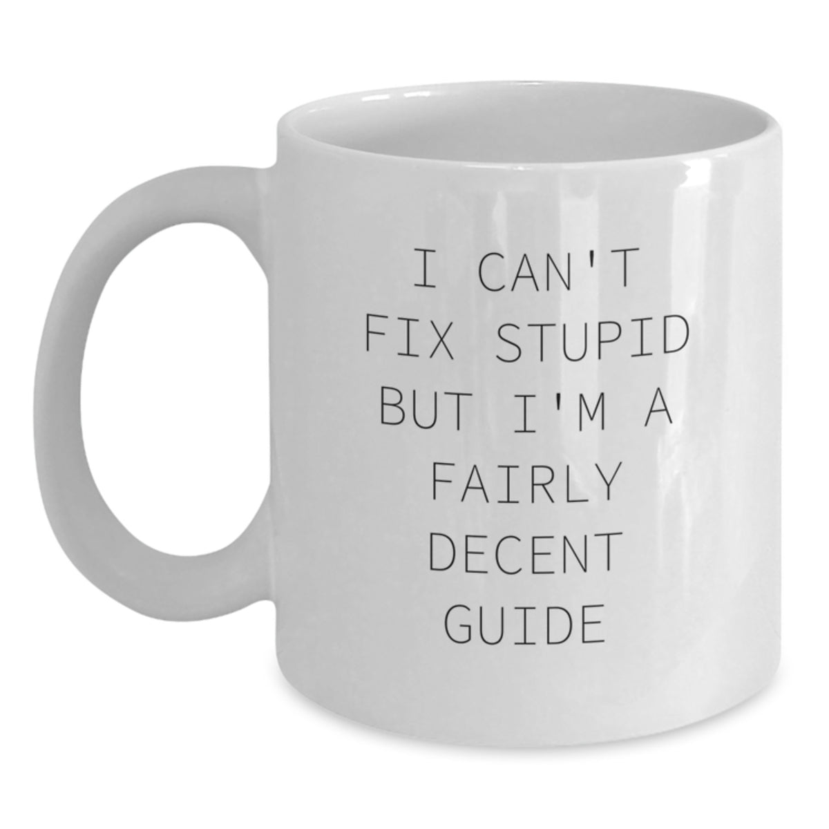 Funny Guide White Coffee Mug Gifts from Friends to Guide Lovers at Christmas with I Can't Fix Stupid But I'm A Fairly Decent Guide Quote - Main
