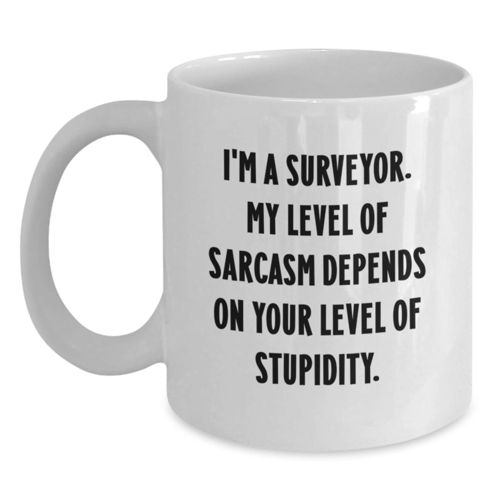 Funny Surveyor White Coffee Mugs Gifts for Surveyors Christmas Unique Presents from Friends - Main