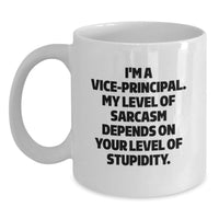 Load image into Gallery viewer, Funny Vice Principal Gifts, White Coffee Mugs for Vice Principals, Valentine's Unique Gifts from Friends, Vice Principal Humor - Main