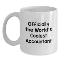 Load image into Gallery viewer, Funny Accountant Gifts from Friends, White Coffee Mug for Accountant, Valentine's Unique Gifts - Main