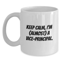 Load image into Gallery viewer, Vice-Principal Keepsake Mug for Him Premium 11oz Ceramic Birthday Gift - Main
