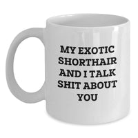 Load image into Gallery viewer, Exotic Shorthair Cat Funny White Coffee Mug Gifts from Friends to Exotic Shorthair Cat Lovers, Graduation Unique Gifts, &#39;My Exotic Shorthair And I Talk Shit About You&#39; - Main
