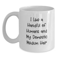 Load image into Gallery viewer, Funny Domestic Medium Hair Cat Gifts for Friends and Family - Gifts from Women, Inspirational Quote on White Coffee Mug for Cat Lovers, Unique Graduation Unique Gifts - Main