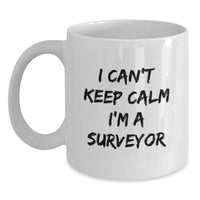 Load image into Gallery viewer, Funny Surveyor Gifts from Family to Graduation Unique Gifts for Surveyor Men, White Coffee Mug I Can't Keep Calm I'm A Surveyor - Main