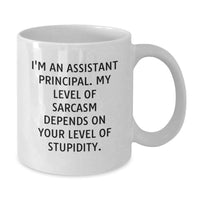 Load image into Gallery viewer, Funny Gift for Assistant Principals, White Coffee Mug, Sassy Quote for Christmas Unique Gifts from Friends to Assistant Principals, Assistant Principal Humor - Additional