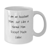 Load image into Gallery viewer, Funny Inspirational Assistant White Coffee Mug Gifts for Assistant Friends Family - I Am An Assistant Mom Gifts from Men Women Coworkers - Additional