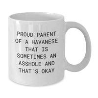 Load image into Gallery viewer, Funny Havanese Dog Gifts from Mom Dad Friends for Havanese Dog Lovers, Christmas Unique Mug, Proud Parent Quote - Additional
