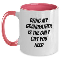 Load image into Gallery viewer, Grandfather Gifts from Family, Unique Christmas Unique Gifts for Grandfather, Funny Two Tone Coffee Mug - Main