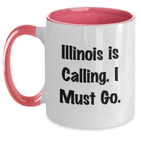 Load image into Gallery viewer, Funny Illinois Gifts for Illinois Lovers - Birthday Unique Gifts from Friends to Illinois Family Members - Main