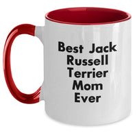 Load image into Gallery viewer, Funny Jack Russell Terrier Mom Gifts from Friends for Graduation Unique Two Tone Coffee Mugs Best Ever - Main
