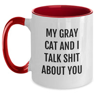 Load image into Gallery viewer, Funny Gray Cat Gifts for Gray Cat Lovers, Unique Two Tone Coffee Mug with My Gray Cat And I Talk Shit About You Quote, Gifts from Friends and Family for Graduation - Main
