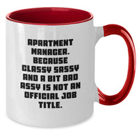 Load image into Gallery viewer, Funny Apartment Manager Gifts from Family for Christmas Unique Mug, Two Tone Coffee Mug &#39;Apartment Manager. Because Classy Sassy And A Bit Fearlessy Is Not An Official Job Title.&#39; - Additional
