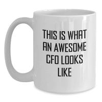 Load image into Gallery viewer, Funny CFO Gifts from Friends - White Coffee Mug for CFO Birthday Unique Gifts - Main