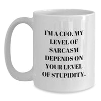 Load image into Gallery viewer, Funny CFO White Coffee Mug, Gifts from Men to CFO, Valentine's Unique Gifts for CFO, 'I'm A Cfo. My Level Of Sarcasm Depends On Your Level Of Stupidity.' Quote, White Ceramic 11oz or 15oz - Main