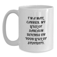 Load image into Gallery viewer, Funny Mail Carrier Gifts from Friends - White Coffee Mug for Mail Carrier Sarcasm Humor Valentine's Unique Gifts, Funny Sarcasm Quotes for Men, Women, Coworkers, Family - Main