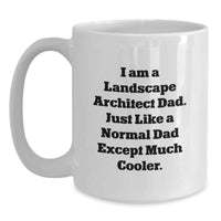 Load image into Gallery viewer, Funny Landscape Architect Dad Gifts from Family for Graduation Unique White Coffee Mugs, White - Main