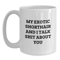 Load image into Gallery viewer, Exotic Shorthair Cat Funny White Coffee Mug Gifts from Friends to Exotic Shorthair Cat Lovers, Graduation Unique Gifts, &#39;My Exotic Shorthair And I Talk Shit About You&#39; - Main
