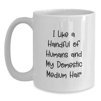 Load image into Gallery viewer, Funny Domestic Medium Hair Cat Gifts for Friends and Family - Gifts from Women, Inspirational Quote on White Coffee Mug for Cat Lovers, Unique Graduation Unique Gifts - Main