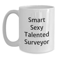 Load image into Gallery viewer, Funny Gift for Smart Sexy Surveyor Friends Christmas Unique Mugs from Men - Main