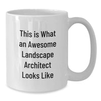 Load image into Gallery viewer, Funny Gifts from Friends to Landscape Architect, This Is What An Awesome Landscape Architect Looks Like - White Coffee Mug, Perfect Birthday Unique Gifts for Men Women Coworkers Family - Additional