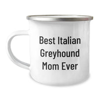 Load image into Gallery viewer, Funny Italian Greyhound Dog Mom Gifts for Graduation Camping Mug from Best Friends - Image 1
