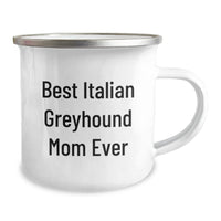 Load image into Gallery viewer, Funny Italian Greyhound Dog Mom Gifts for Graduation Camping Mug from Best Friends - Image 2
