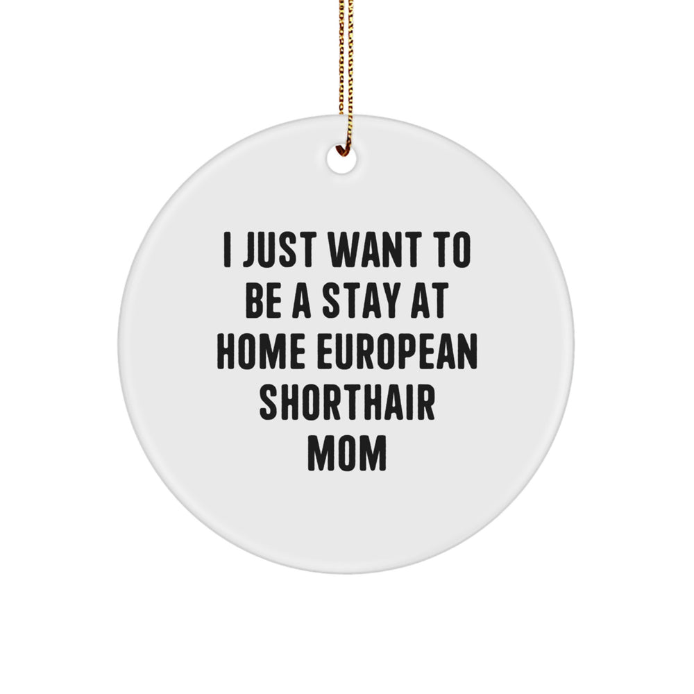 European Shorthair Cat Gifts, Funny Quote Ornaments for Friends, Christmas Circle Decor, 'I Just Want To Be A Stay At Home European Shorthair Mom', Gift from Friends for European Shorthair Cat Lovers - Image 1