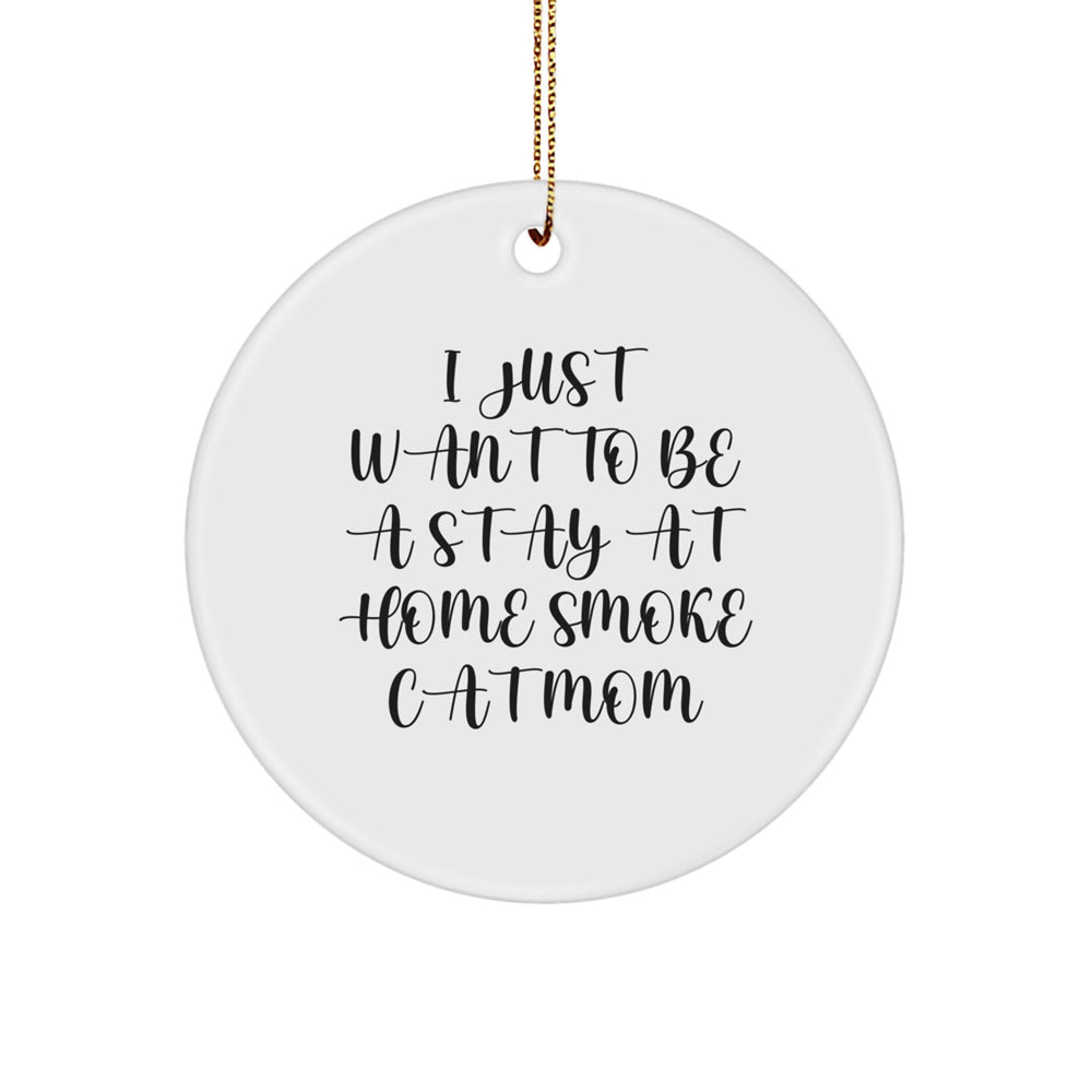 Funny Smoke Cat Gifts from Mom to Smoke Cat Mom, Circle Ornament for Christmas, I Just Want To Be A Stay At Home Smoke Cat Mom - Image 1