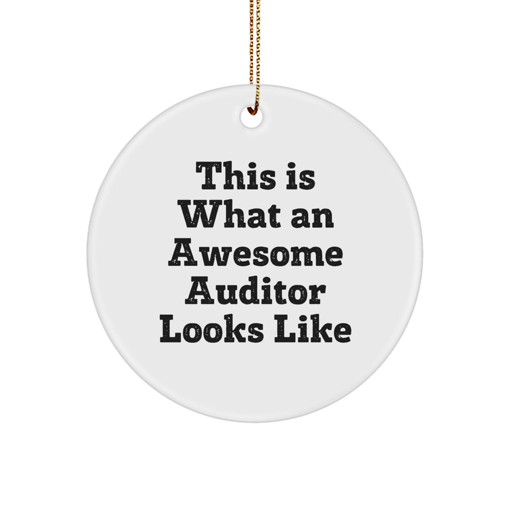 Funny Auditor Gifts from Friends to Family - Circle Ornament This Is What An Awesome Auditor Looks Like for Christmas - Image 1