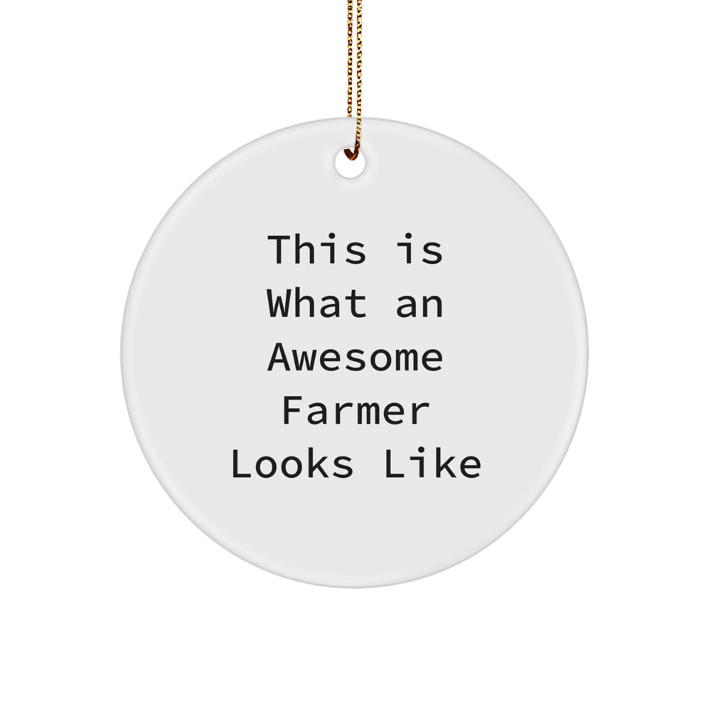 Farmer Gifts from Friends, Gifts for Awesome Farmer, This Is What An Awesome Farmer Looks Like Circle Ornament - Christmas Unique Presents - Image 1