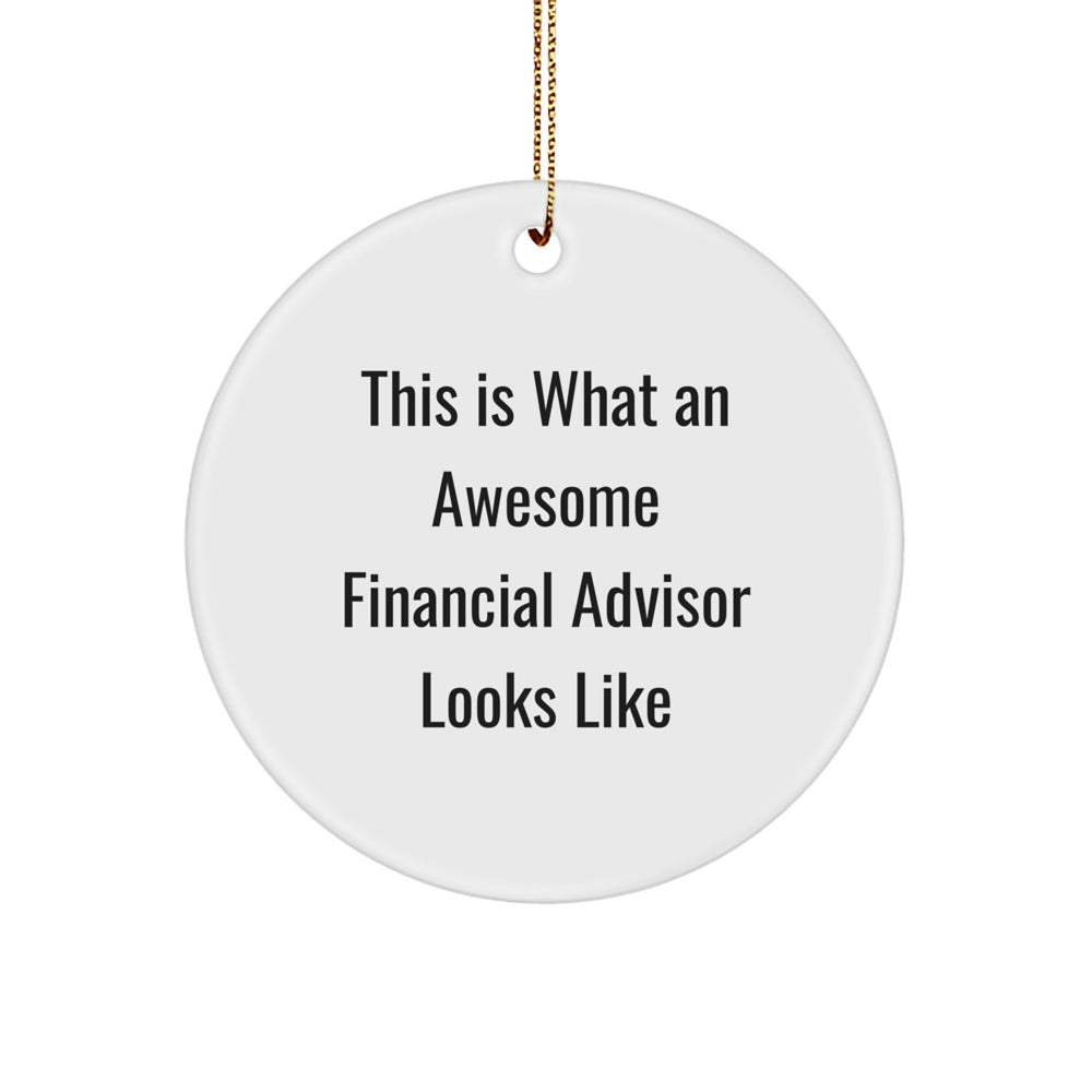 Funny Financial Advisor Gifts from Friends - Christmas Circle Ornament, 'This Is What An Awesome Financial Advisor Looks Like' Quote, Gifts for Financial Advisor - Image 1