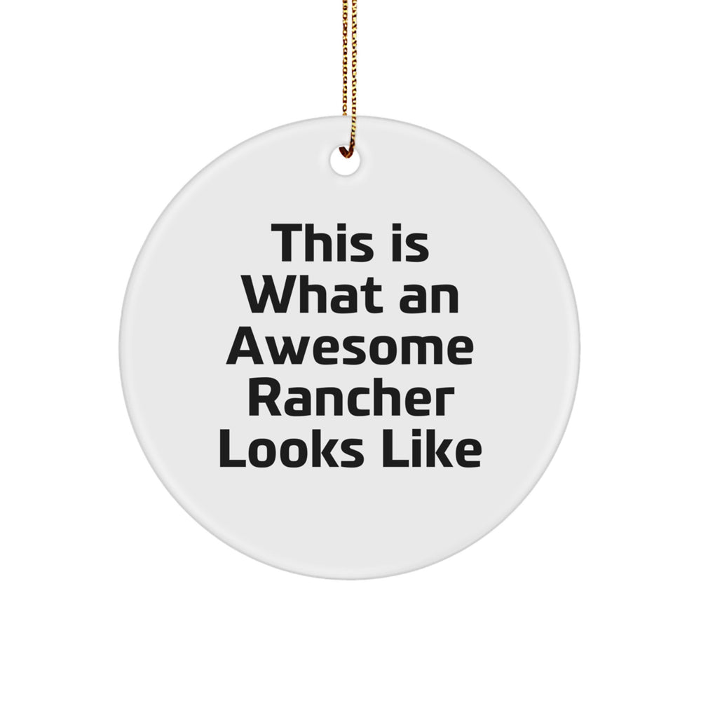 Funny Rancher Gifts from Friends to Family - This Is What An Awesome Rancher Looks Like Circle Ornament, Christmas Unique Presents for Men, Women, Coworkers, Family - Image 1