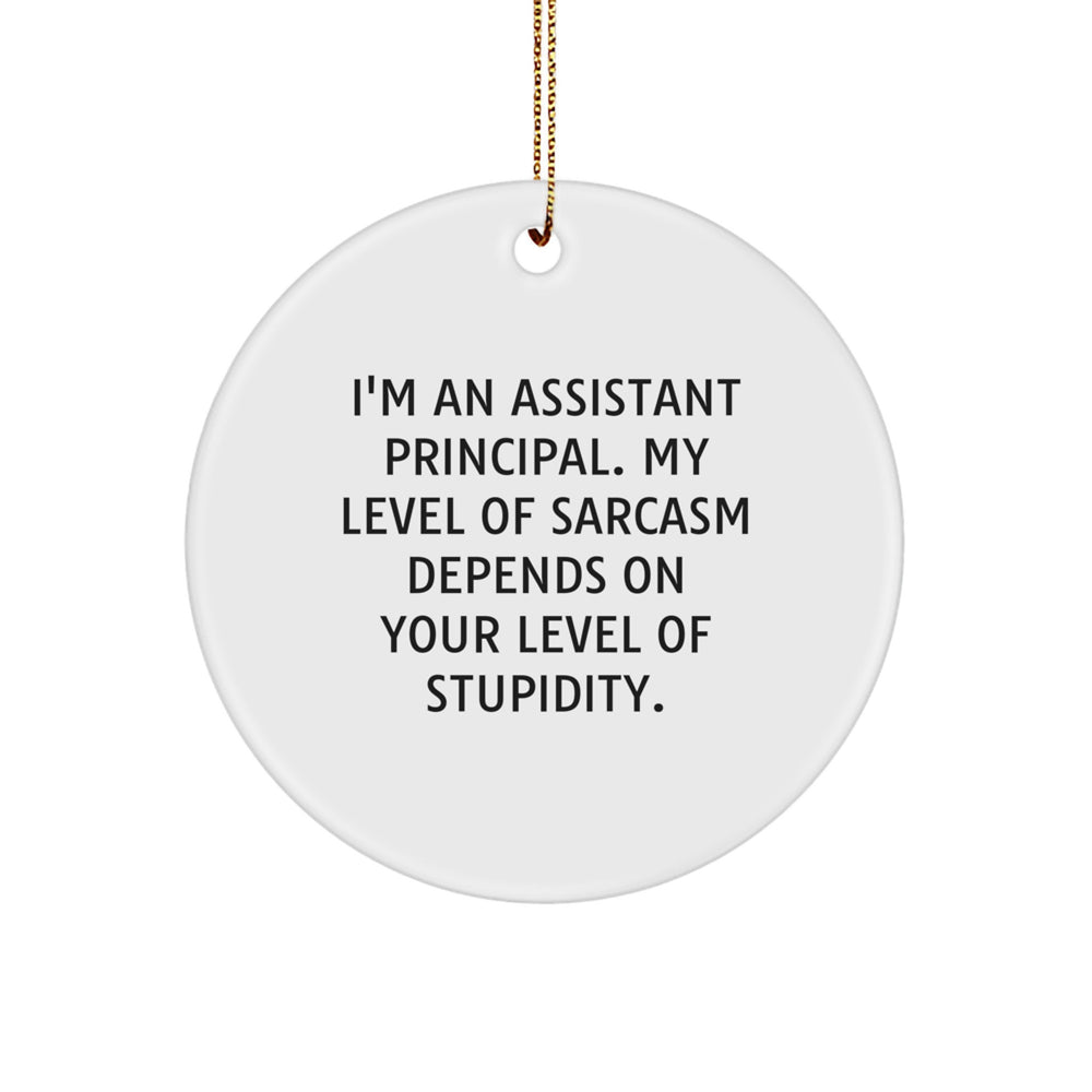 Funny Assistant Principal Circle Ornaments for Office, Gifts from Friends or Family for Christmas Unique Gifts - Image 1