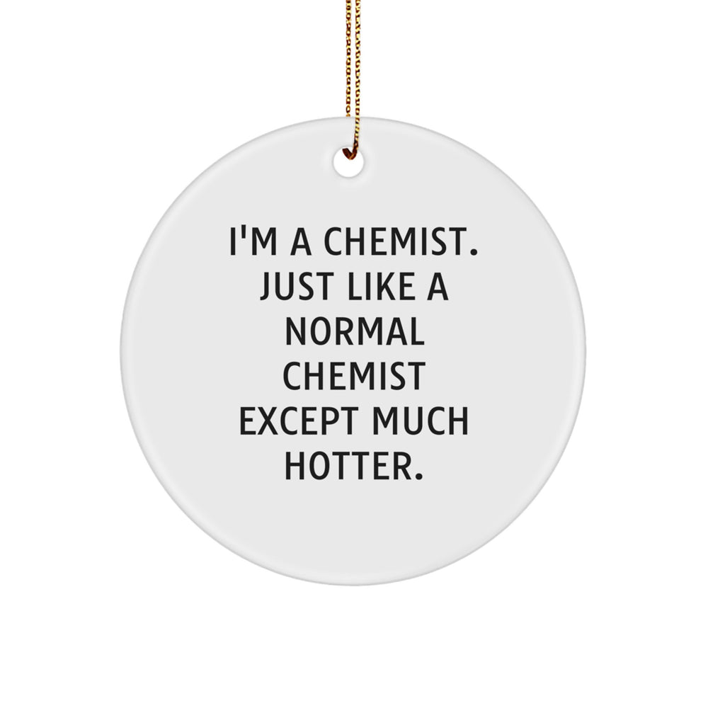 Unique Gifts for Chemist Friends from Men, Funny Circle Ornament for Christmas Unique Gifts - Image 1