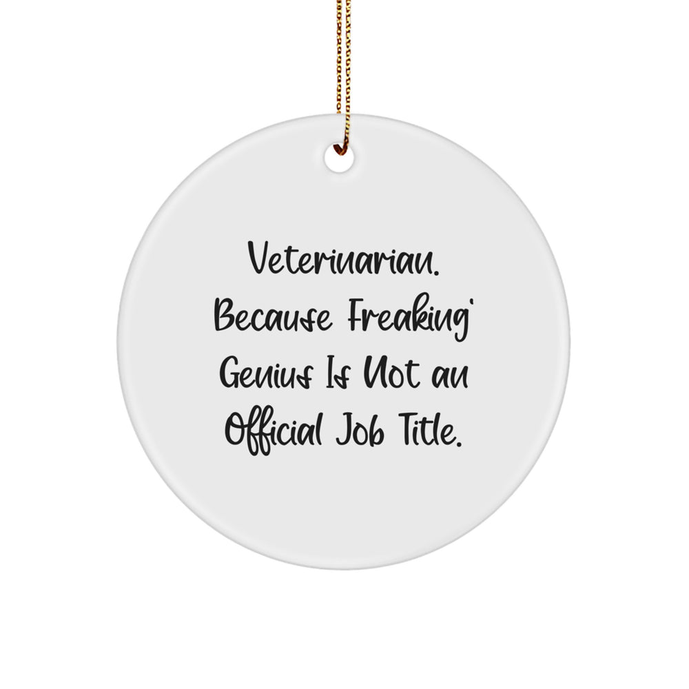 Veterinarian Gifts from Men to Friends, Unique Circle Ornament, Funny Quote, Christmas Unique Gift Ideas for Veterinarian - Image 1
