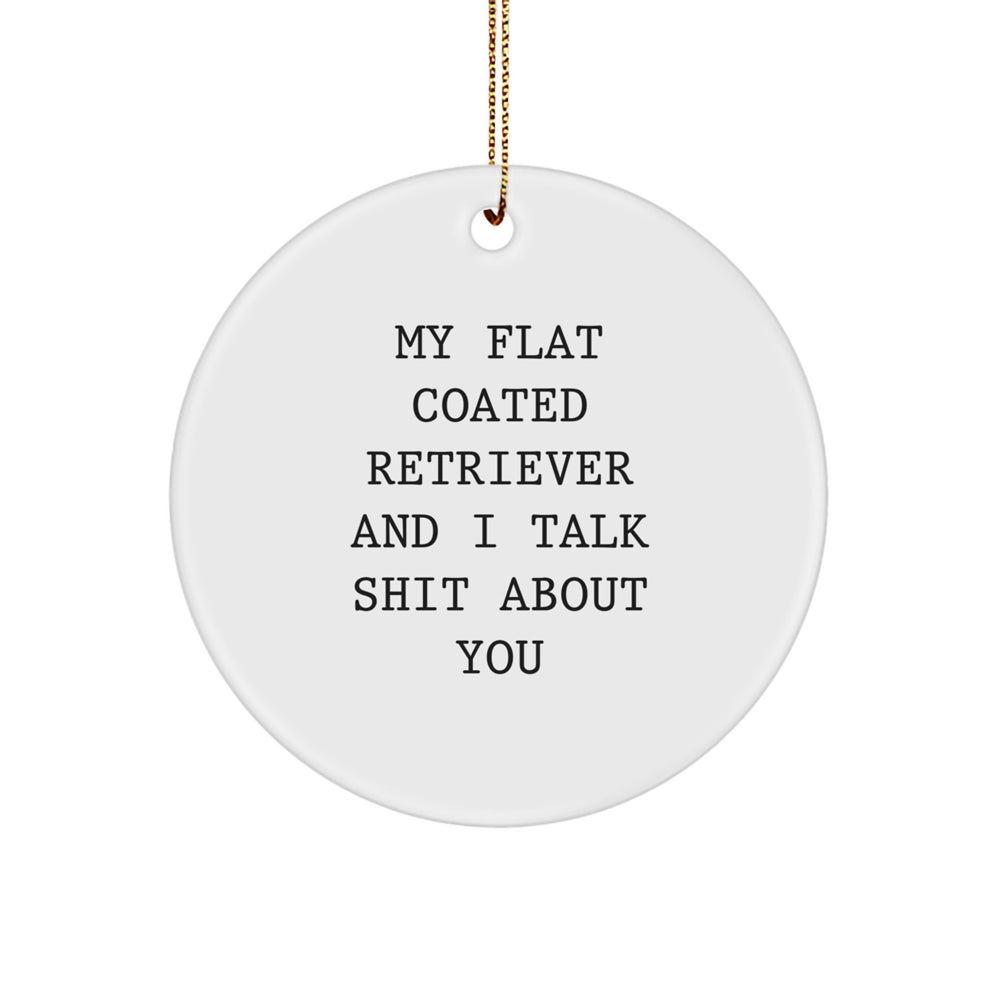 Funny Flat Coated Retriever Dog Lover Gifts from Friends, Family or Coworkers for Christmas Unique Ornaments, Circle Shaped My Flat Coated Retriever And I Talk Shit About You - Image 1