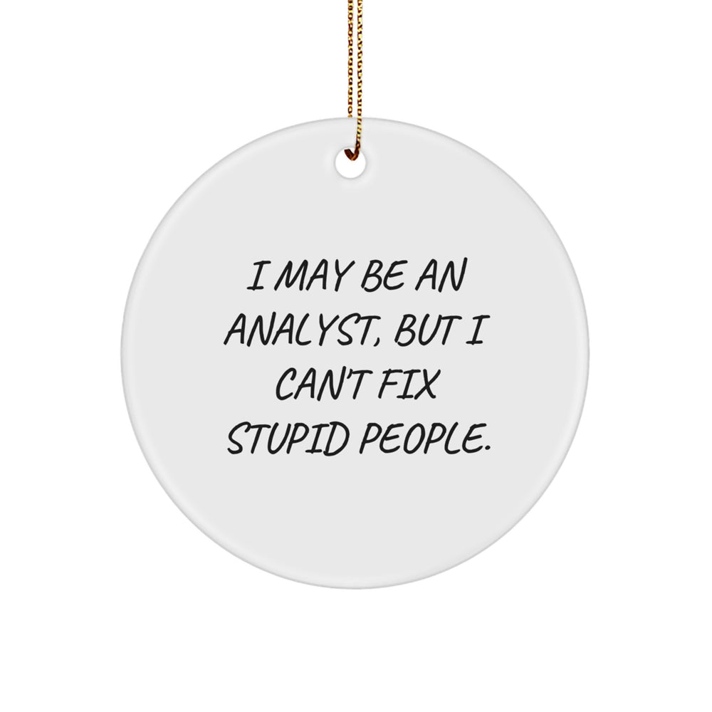 Funny Analyst Gifts for Christmas: 'I May Be An Analyst' Circle Ornament, Gifts from Friends to Family - Image 1