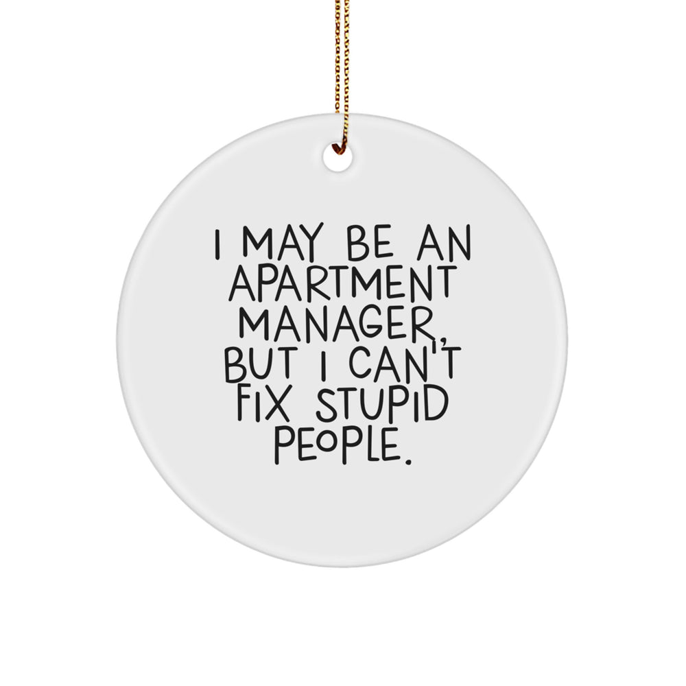 Funny Gift for Apartment Manager Friends from Men, 'I May Be An Apartment Manager, But I Can't Fix Stupid People.', Unique Christmas Unique Gifts for Men or Women - Image 1
