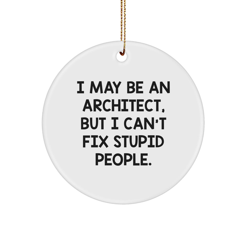 Funny Architect Gifts for Men - 'I May Be An Architect, But I Can't Fix Stupid People.' Circle Ornament for Christmas Unique Gifts from Friends - Image 1
