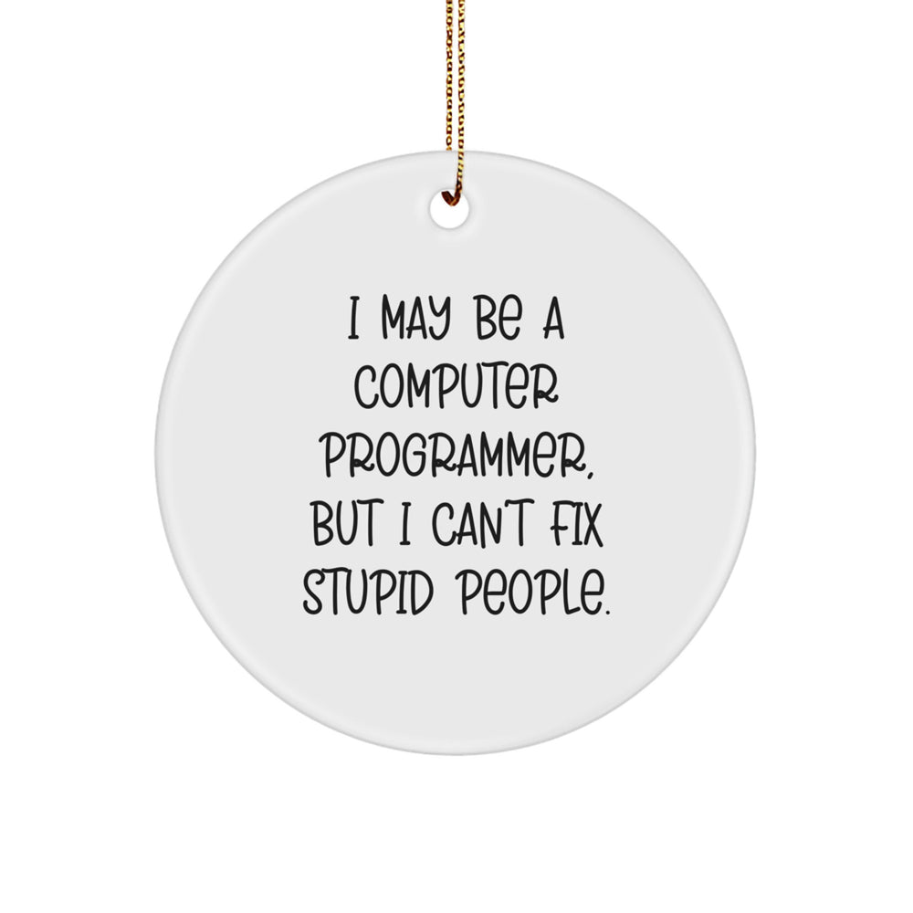Funny Computer Programmer Circle Ornament, Gifts from Men to Men, Gifts for Computer Programmer, I May Be A Computer Programmer, But I Can't Fix Stupid People., Christmas Unique - Image 1