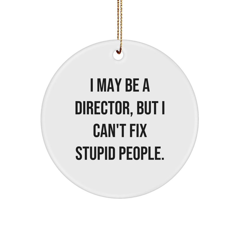 Funny Director Circle Ornament, Gifts for Him, I May Be A Director But I Cant Fix Stupid People, Christmas Unique Decorations - Image 1