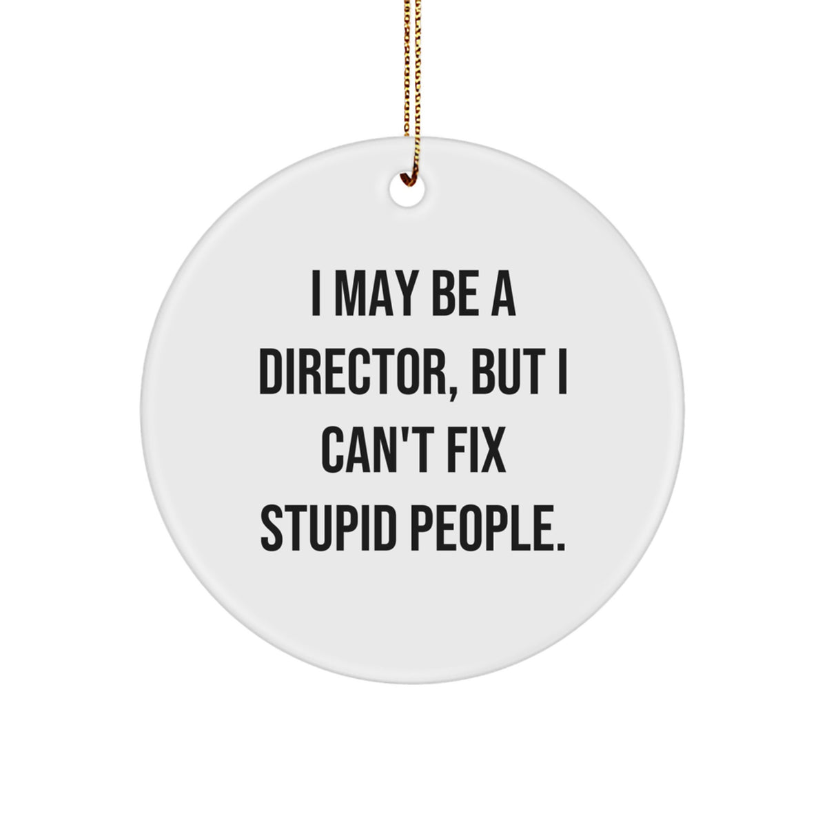 Funny Director Circle Ornament, Gifts for Him, I May Be A Director But I Cant Fix Stupid People, Christmas Unique Decorations - Image 1