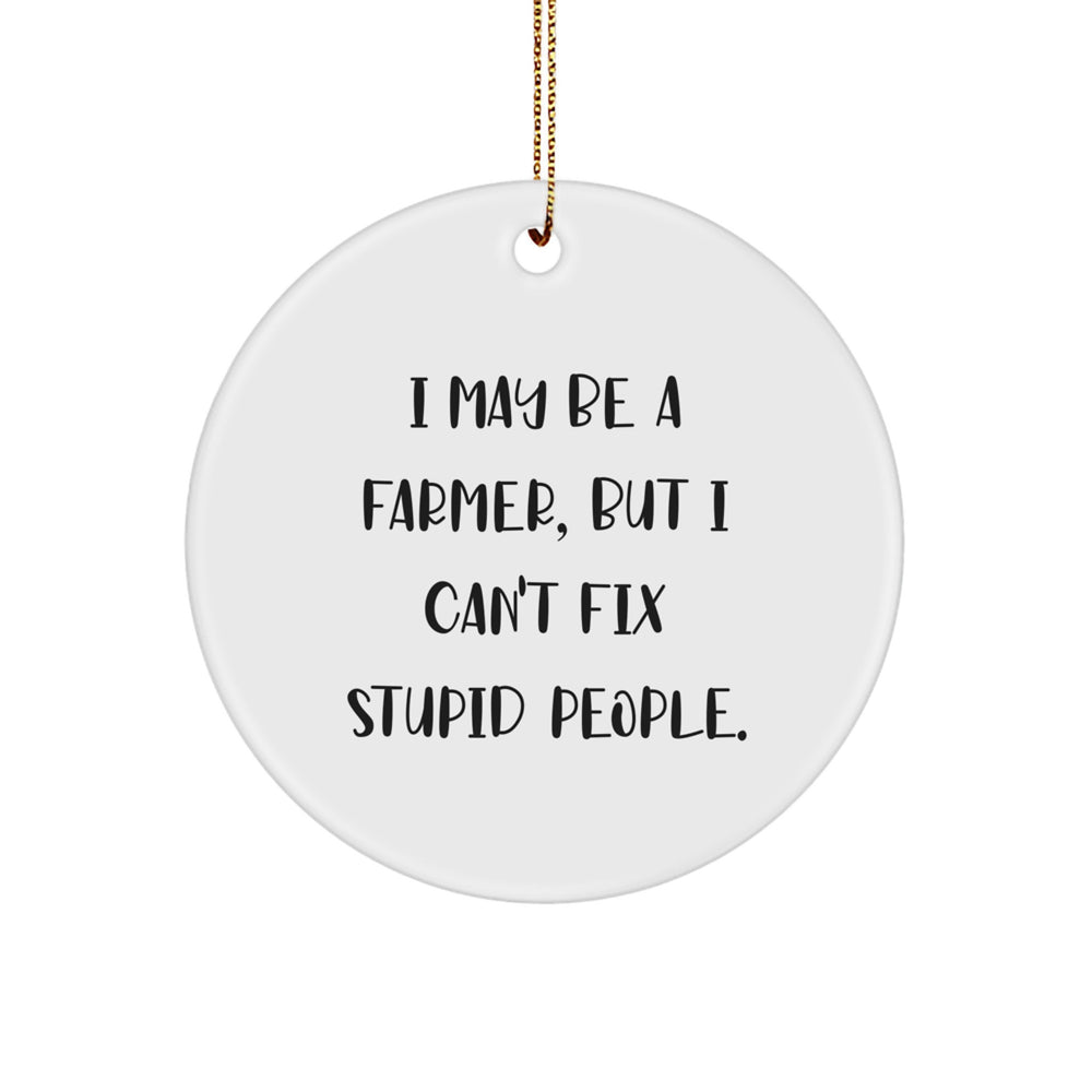 Funny Farmer Gifts for Christmas, Circle Ornament, 'I May Be A Farmer, But I Can't Fix Stupid People.' Quote, Gifts from Friends, Family, Coworkers, to Men, Women, Farmer - Image 1