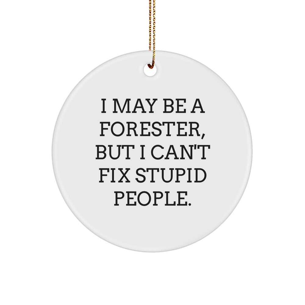 Forester Gifts from Friends - I May Be A Forester, But I Can't Fix Stupid People. Circle Ornament for Christmas - Image 1
