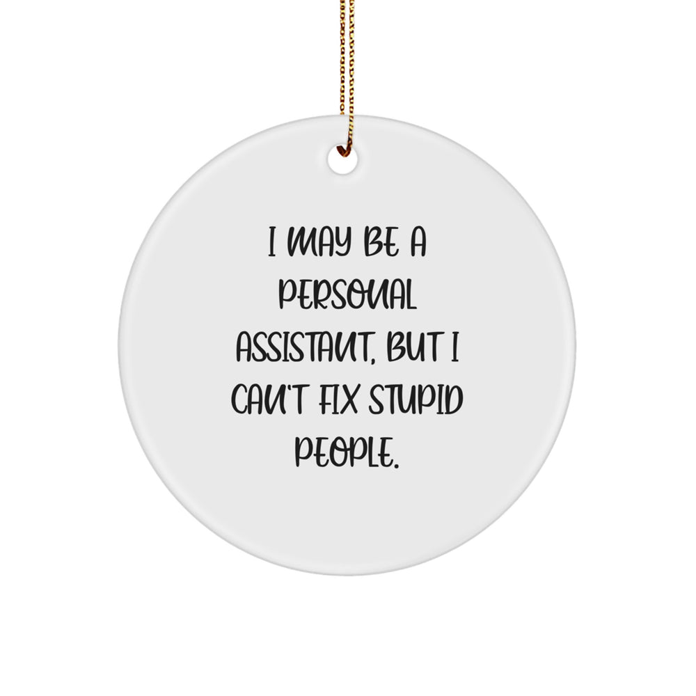 Funny Personal Assistant Gifts from Men to Women Friends Family Coworkers, I May Be A Personal Assistant But I Cant Fix Stupid People Christmas Unique Gifts - Image 1
