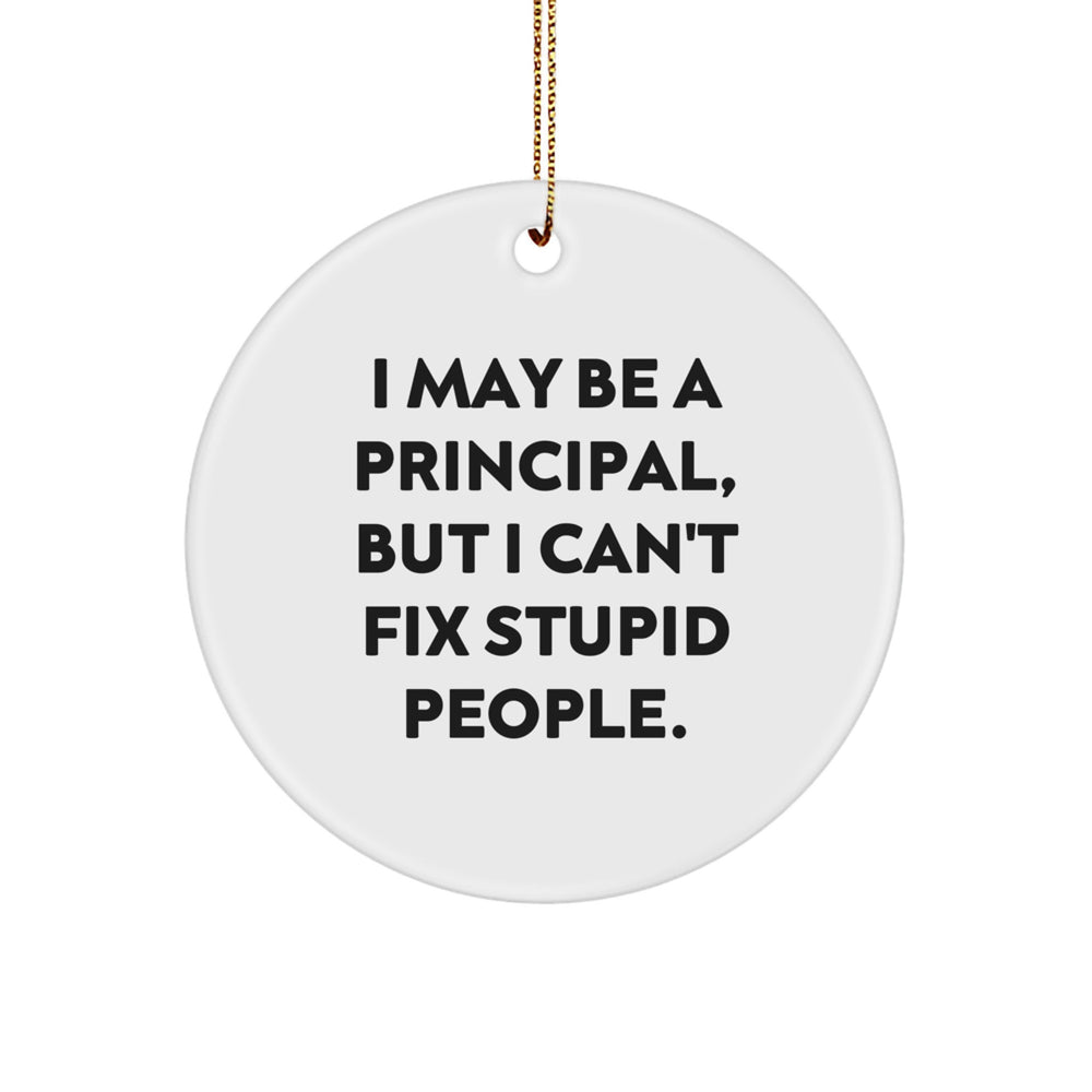 Funny Principal Gifts from Men for Men - I May Be A 'Principal', But I Can't Fix Stupid People. - Christmas Unique Circle Ornament - Image 1
