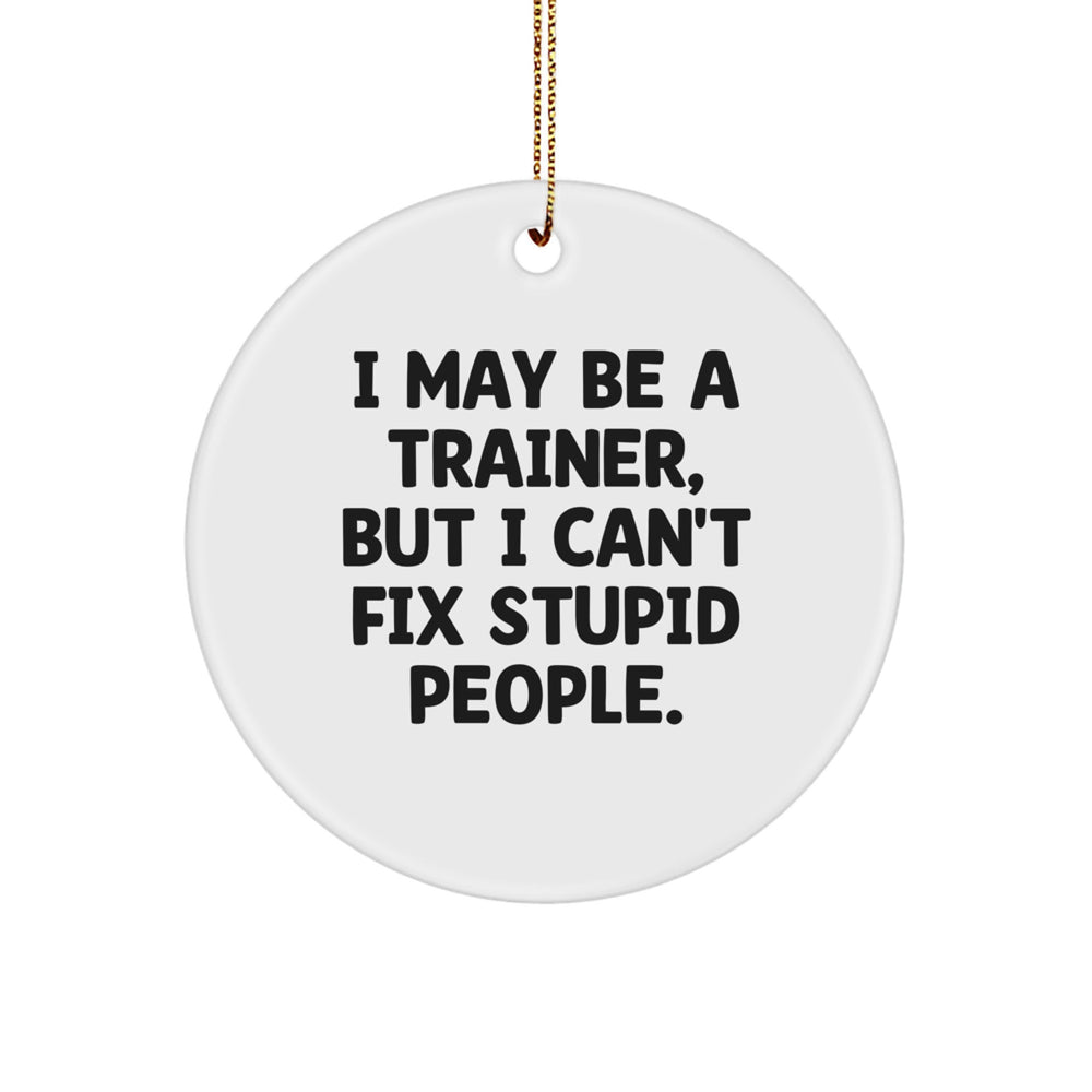 Funny Trainer Gifts for Men - Christmas Unique Gifts from Trainer Friends, 'I May Be A Trainer, But I Can't Fix Stupid People.' Circle Ornament - Image 1