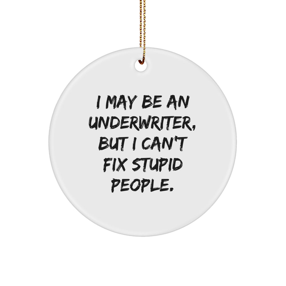 Funny Underwriter Gifts, I May Be An Underwriter, But I Can't Fix Stupid People. Circle Ornament for Christmas, Gifts from Friends, Family or Coworkers for Underwriter - Image 1
