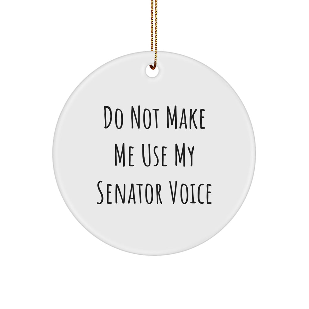 Funny Senator Gifts from Friends to Senator Men - Christmas Unique Ornaments for Senator Home Decor - Image 1